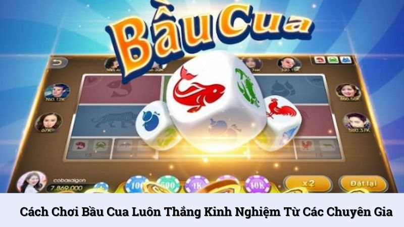 Cách chơi bầu cua luôn thắng từ kinh nghiệm các chuyên gia