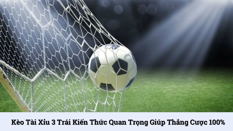 Kèo tài xỉu 3 trái: Kiến thức quan trọng giúp thắng cược 100%