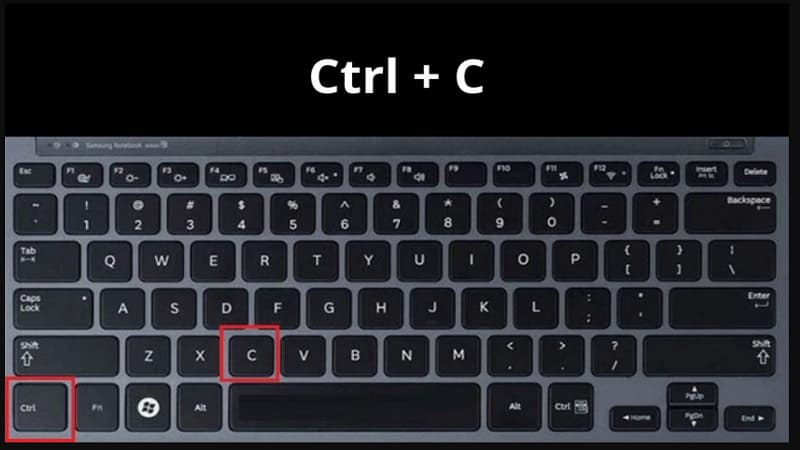 Miễn trừ trách nhiệm SOC99 về vấn đề sở hữu trí tuệ và bản quyền