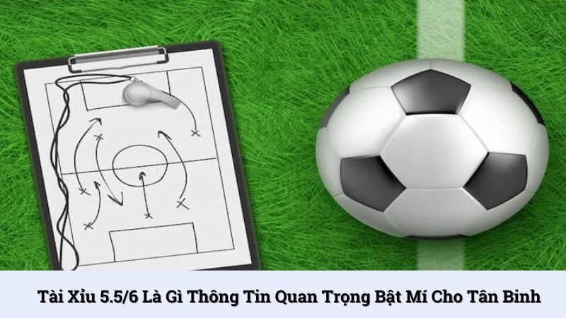Tài xỉu 5.5/6 là gì thông tin quan trọng bật mí cho tân binh